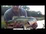 The Other Load Roundup 2015 Last Cast