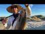 BAJA SHORE FISHING- CEVICHE TIME!